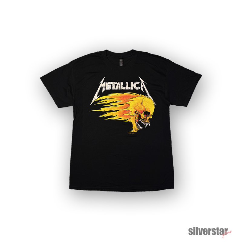 Metallica - The Flaming Skull 1994_800x800_1