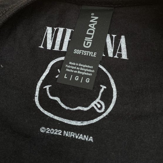 Nirvana - Something In The Way - Image 3