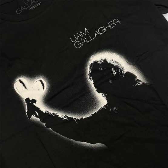 Oasis - Liam Gallagher Everything's Electric - Image 2